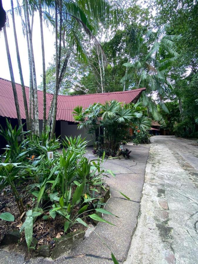 Reservamazon Forest Hotel 贝伦 外观 照片