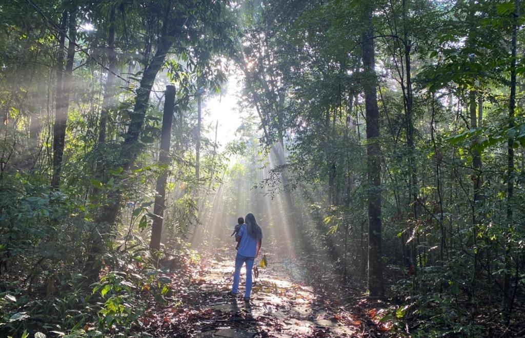 Reservamazon Forest Hotel 贝伦 外观 照片