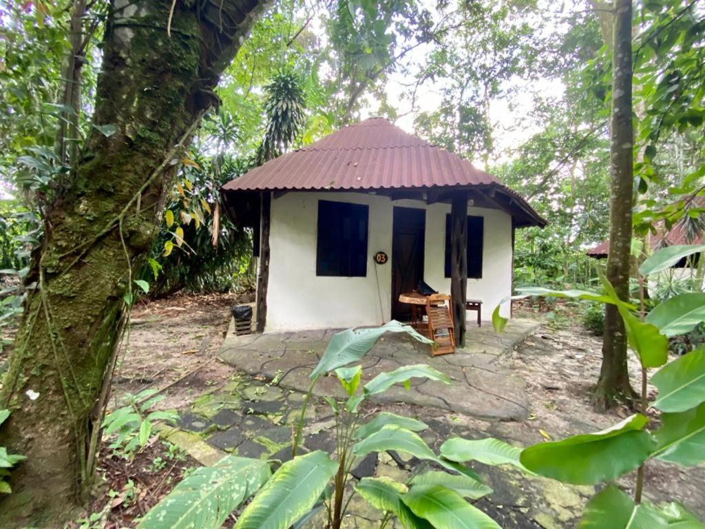 Reservamazon Forest Hotel 贝伦 外观 照片